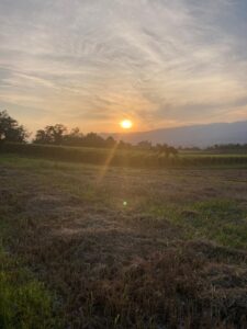 11.07.2024_Sunset Gravel Ride