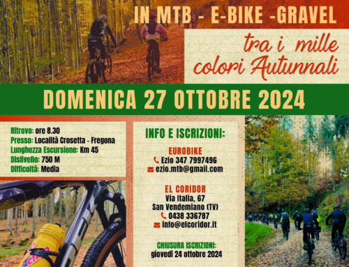 Domenica 27 Ottobre 2024: Cansiglio tra i Mille Colori Autunnali